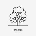 Oak tree flat line icon. Vector thin sign of park plant, ecology logo. Nature illustration, forest symbol Royalty Free Stock Photo