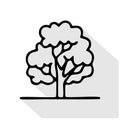 Oak tree flat line icon. Vector thin sign of park plant, ecology logo Royalty Free Stock Photo