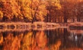 Oak tree forest panorama with pond. Autumn season with yellow and orange colors. Royalty Free Stock Photo