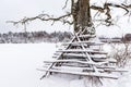Oak tree and haystack wooden frames in snowy winter day, Latvia Royalty Free Stock Photo