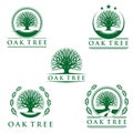 Oak Tree logo, logo design