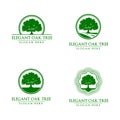 Oak, tree, logo Royalty Free Stock Photo