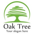 Oak tree logo template Royalty Free Stock Photo