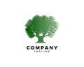 Oak tree logo template vector Royalty Free Stock Photo