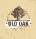 Oak Tree Logo Vector Design Royalty Free Stock Photo