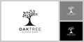 oak tree logo vector design template Royalty Free Stock Photo