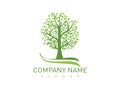 Oak tree logo