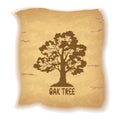 Oak Tree on Old Paper Royalty Free Stock Photo