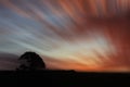 Oak tree over blured red clouds Royalty Free Stock Photo