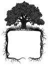 Oak tree with roots frame