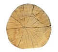 Oak tree, Round cut logs, isolated on the white background.