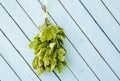 Oak tree sauna whisk broom also known as vasta, vihta or venik hanging and drying on the wall. Royalty Free Stock Photo