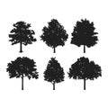 Oak Tree Silhouette Cliparts set Royalty Free Stock Photo