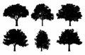 Oak Tree Silhouette Collections Set Royalty Free Stock Photo