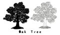 Oak Tree Silhouette, Contours and Inscriptions