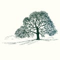 Oak tree silhouette, hand drawn doodle, sketch in pop art style, black and white illustration Royalty Free Stock Photo
