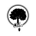 Oak tree silhouette Royalty Free Stock Photo