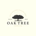 oak tree with vintage style logo vector design illustration Royalty Free Stock Photo