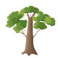 Oak-tree on white background