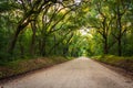 Oak trees along the dirt road to Botany Bay Plantation on Edisto Island, South Carolina.