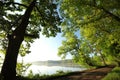 oak trees covered with fresh leaves at the edge of the lake on a sunny spring morning against a blue sky on the right side of the Royalty Free Stock Photo