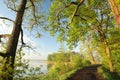 oak trees covered with fresh leaves at the edge of lake on a sunny spring morning against blue sky right side photo you can see Royalty Free Stock Photo