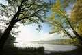 oak trees covered with fresh leaves at the edge of lake on a sunny spring morning against blue sky right side photo you can see Royalty Free Stock Photo