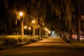 Oak trees and path at night in Forsyth Park, Savannah, Georgia. Royalty Free Stock Photo
