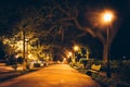 Oak trees and path at night in Forsyth Park, Savannah, Georgia. Royalty Free Stock Photo