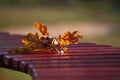 An oak twig with autumn yellow-brown leaves lies on a burgundy wooden bench Royalty Free Stock Photo
