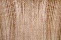 Oak veneer. Oak texture. Spliced oak veneer on the table in the workshop Royalty Free Stock Photo