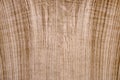 Oak veneer. Oak texture. Spliced oak veneer on the table in the workshop Royalty Free Stock Photo