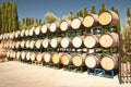 Oak Wine Barrels Royalty Free Stock Photo