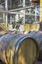 Oak wine barrels in a vineyard Royalty Free Stock Photo