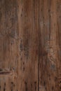Oak wood texture. Dark background for design.