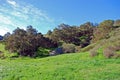 Oak Wooodland biome in Laguna Canyon, Laguna Beach, California.