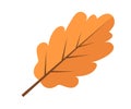 Oak yellow autumn leaf icon flat style. Isolated on white background. Vector illustration. Royalty Free Stock Photo