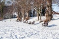 OAKHAM, RUTLAND, ENGLAND- 25 JANUARY 2021: Cutts Close park on a snowy day