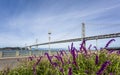 Oakland Bay Bridge, San Francisco, California Royalty Free Stock Photo