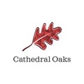 Oaks Logo Design Royalty Free Stock Photo