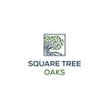 Oaks logo designs in square symbol
