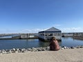 OAKVILLE, CANADA - APRIL 13, 2021: PHOTOGRAPHER SITS AT PIER, TAKING PHOTOS OF BIRDS WITH LONG LENS DURING COVID-19 PANDEMIC.