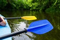 Paddle for rowing blue and yellow flowers in the hands of people while kayaking on the river Royalty Free Stock Photo