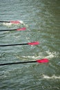 Oars in the Water