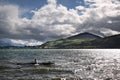 Oarsman on Lake Hayes on a stormy day Royalty Free Stock Photo