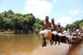 Oarsmen wearing traditional kerala dress participate in the Aranmula boat race