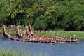 Oarsmen wearing traditional kerala dress row thier snake boat in the Aranmula boat race