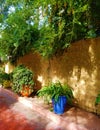 Oasis of art and landscaping at Majorelle Gardens