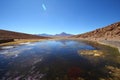 Oasis in the Atacama desert