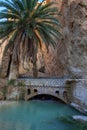 oasis in the Atlas mountains, stone bridge, palm tree, water